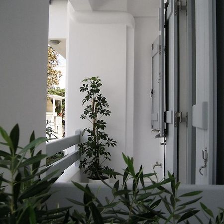 Aelia Apartments Naxos City ภายนอก รูปภาพ