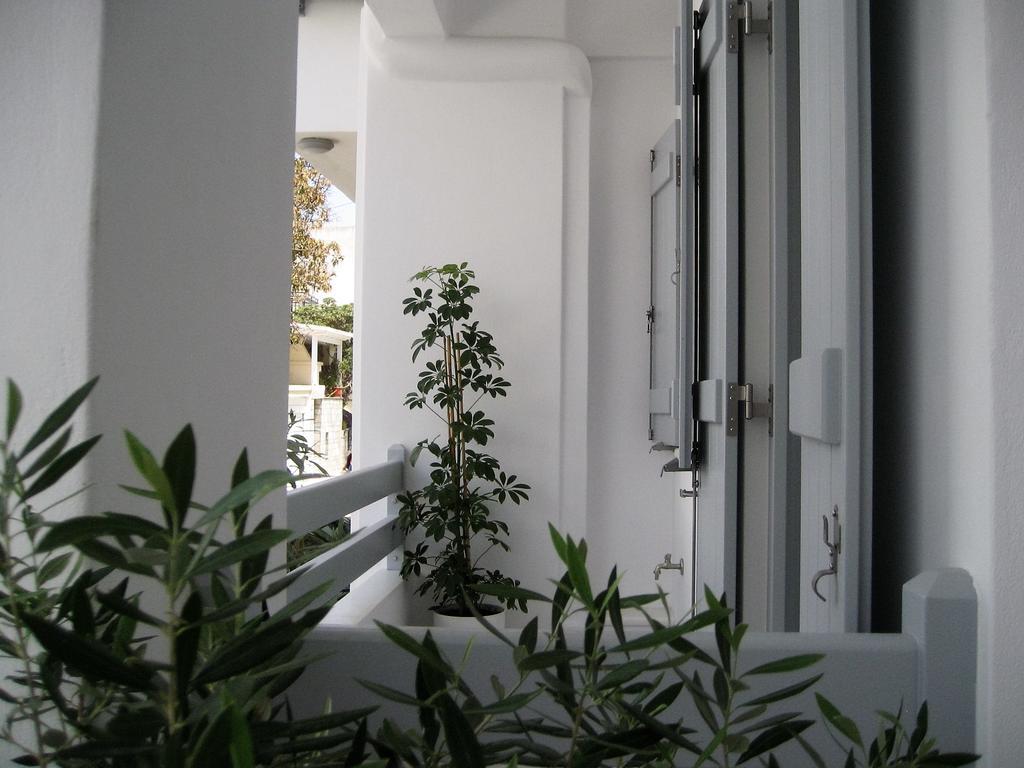 Aelia Apartments Naxos City ภายนอก รูปภาพ